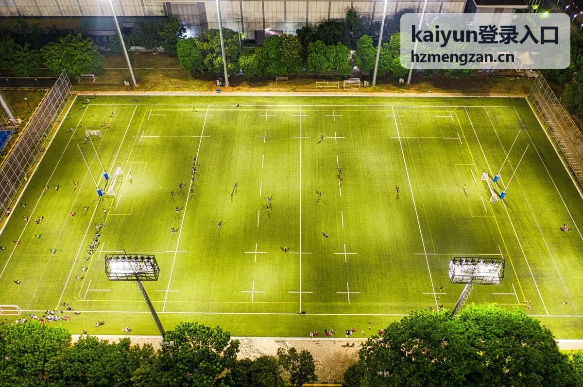 kaiyun登录入口多设备访问适配说明